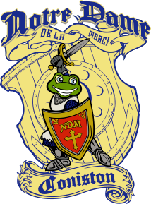 NDC Logo
